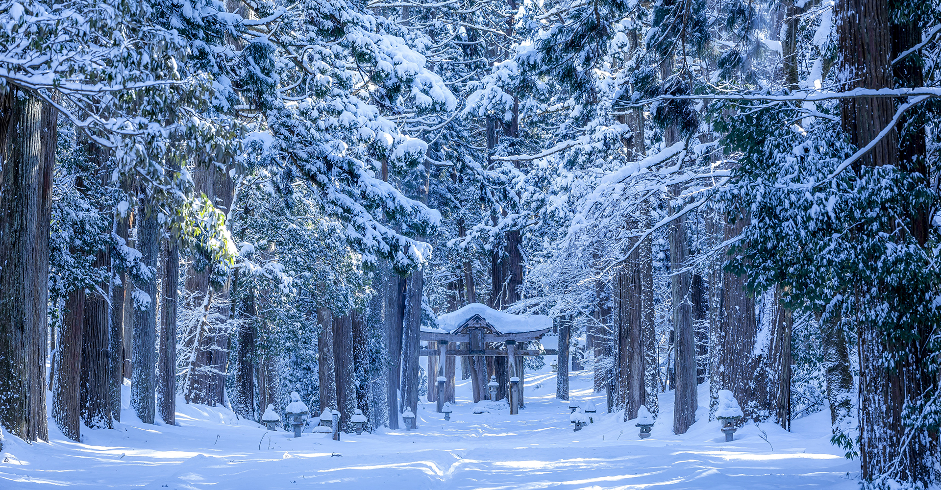 雪の平泉寺
