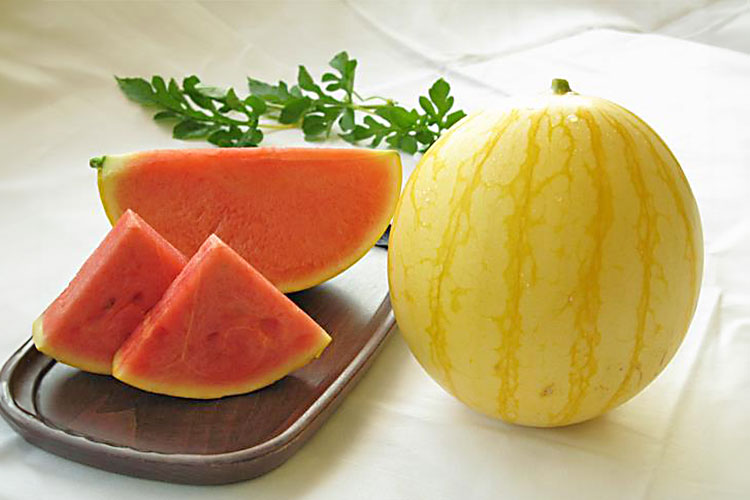 三里浜オリーブオイル